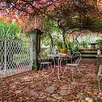 Farm stay I Capricci Di Merion - Antica Tuoro sul Trasimeno