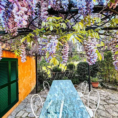 I Capricci Di Merion - Antica Farm stay