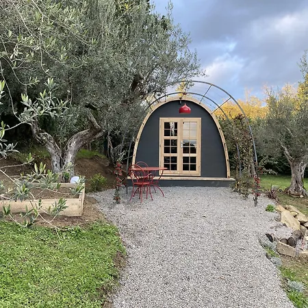 I Capricci Di Merion - Antica *