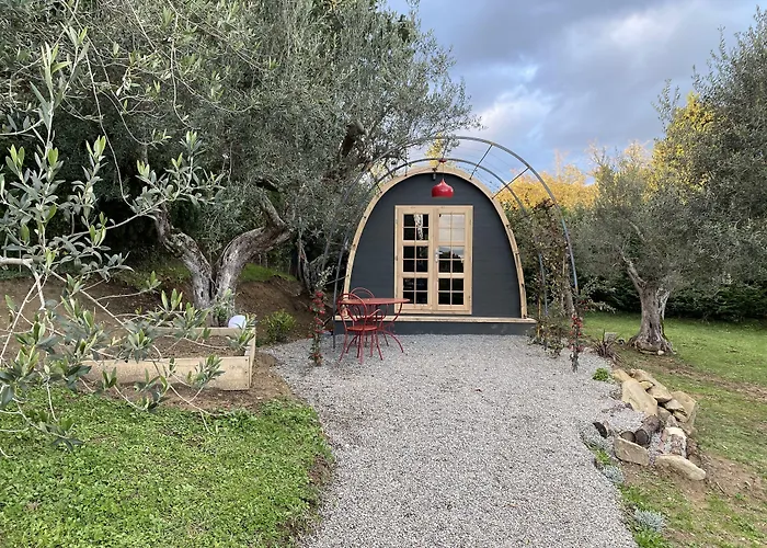 I Capricci Di Merion - Antica *